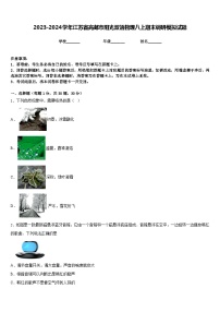 2023-2024学年江苏省高邮市阳光双语物理八上期末调研模拟试题含答案