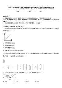 2023-2024学年江西省景德镇市乐平市物理八上期末达标检测模拟试题含答案