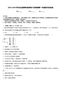 2023-2024学年河北省邯郸市临漳县八年级物理第一学期期末检测试题含答案