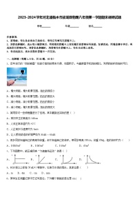 2023-2024学年河北省衡水市故城县物理八年级第一学期期末调研试题含答案