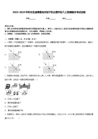 2023-2024学年河北省秦皇岛市抚宁区台营学区八上物理期末考试试题含答案