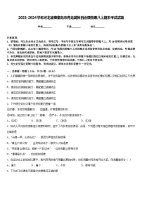 2023-2024学年河北省秦皇岛市青龙满族自治县物理八上期末考试试题含答案