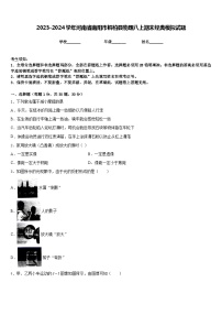 2023-2024学年河南省南阳市桐柏县物理八上期末经典模拟试题含答案