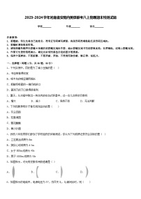 2023-2024学年河南省安阳内黄县联考八上物理期末检测试题含答案