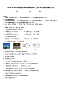 2023-2024学年河南省安阳市林州市物理八上期末教学质量检测模拟试题含答案