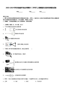 2023-2024学年河南省平顶山市第四十二中学八上物理期末达标检测模拟试题含答案