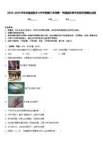 2023-2024学年河南省新乡七中学物理八年级第一学期期末教学质量检测模拟试题含答案