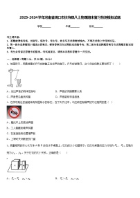 2023-2024学年河南省周口市扶沟县八上物理期末复习检测模拟试题含答案