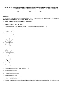 2023-2024学年河南省郑州市郑东新区实验学校八年级物理第一学期期末监测试题含答案