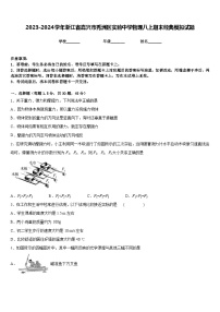 2023-2024学年浙江省嘉兴市秀洲区实验中学物理八上期末经典模拟试题含答案