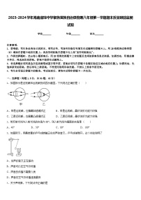 2023-2024学年海南省琼中学黎族苗族自治县物理八年级第一学期期末质量跟踪监视试题含答案