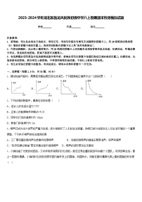 2023-2024学年湖北恩施龙凤民族初级中学八上物理期末检测模拟试题含答案