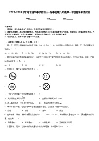 2023-2024学年湖北省华中学师范大一附中物理八年级第一学期期末考试试题含答案