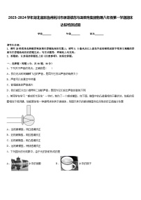 2023-2024学年湖北省恩施州利川市谋道镇苏马荡教育集团物理八年级第一学期期末达标检测试题含答案