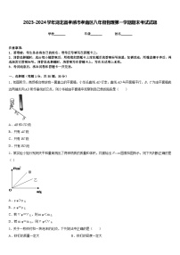 2023-2024学年湖北省孝感市孝南区八年级物理第一学期期末考试试题含答案