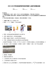 2023-2024学年湖北省孝感市安陆市物理八上期末考试模拟试题含答案