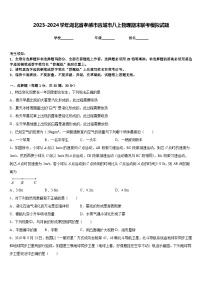 2023-2024学年湖北省孝感市应城市八上物理期末联考模拟试题含答案