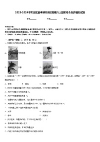 2023-2024学年湖北省孝感市名校物理八上期末综合测试模拟试题含答案
