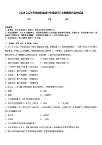 2023-2024学年湖北省咸宁市咸安区八上物理期末监测试题含答案