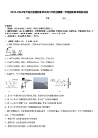 2023-2024学年湖北省黄冈市浠水县八年级物理第一学期期末联考模拟试题含答案