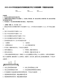 2023-2024学年湖北省武汉市黄陂区部分学校八年级物理第一学期期末监测试题含答案