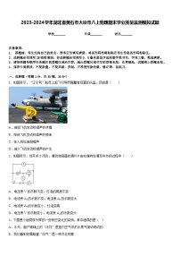 2023-2024学年湖北省黄石市大冶市八上物理期末学业质量监测模拟试题含答案