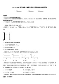 2023-2024学年湖南广益中学物理八上期末质量检测试题含答案