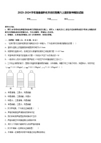 2023-2024学年湖南省怀化市名校物理八上期末联考模拟试题含答案