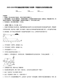 2023-2024学年湖南省浏阳市物理八年级第一学期期末达标检测模拟试题含答案
