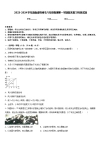 2023-2024学年湖南省株州市八年级物理第一学期期末复习检测试题含答案