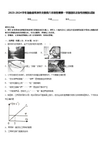 2023-2024学年湖南省株洲市炎陵县八年级物理第一学期期末达标检测模拟试题含答案