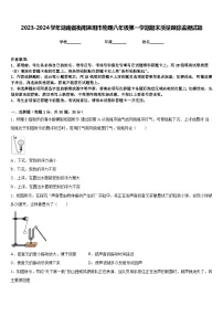 2023-2024学年湖南省衡阳耒阳市物理八年级第一学期期末质量跟踪监视试题含答案