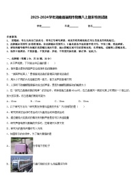 2023-2024学年湖南省益阳市物理八上期末检测试题含答案