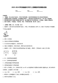 2023-2024学年湖南省长沙市八上物理期末检测模拟试题含答案