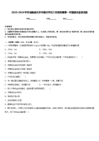2023-2024学年湖南省长沙市部分学校八年级物理第一学期期末监测试题含答案