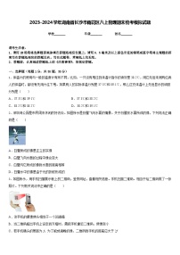 2023-2024学年湖南省长沙市雨花区八上物理期末统考模拟试题含答案