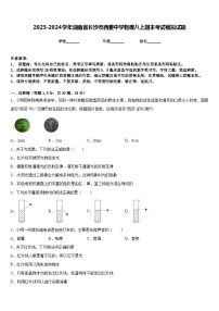 2023-2024学年湖南省长沙市西雅中学物理八上期末考试模拟试题含答案