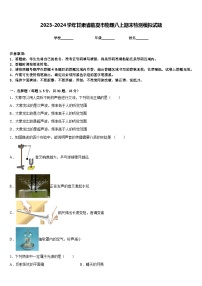 2023-2024学年甘肃省临夏市物理八上期末检测模拟试题含答案