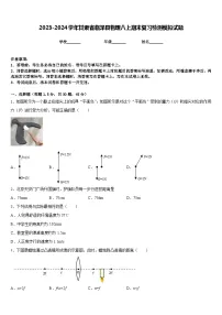 2023-2024学年甘肃省临泽县物理八上期末复习检测模拟试题含答案