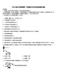 2024届九年级物理第一学期期末学业质量监测模拟试题