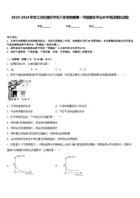 2023-2024学年江汉区部分学校八年级物理第一学期期末学业水平测试模拟试题含答案