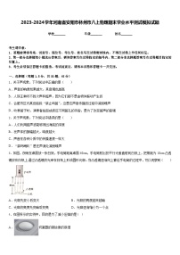 2023-2024学年河南省安阳市林州市八上物理期末学业水平测试模拟试题含答案