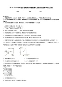 2023-2024学年湖北省荆州松滋市物理八上期末学业水平测试试题含答案