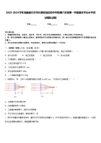 2023-2024学年湖南省长沙市长郡双语实验中学物理八年级第一学期期末学业水平测试模拟试题含答案