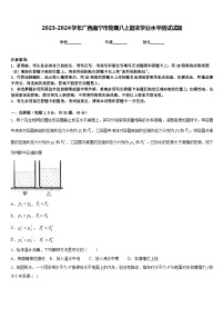 2023-2024学年广西南宁市物理八上期末学业水平测试试题含答案