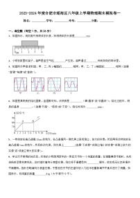 安徽省合肥市瑶海区2023-2024学年度八年级上学期物理期末模拟卷