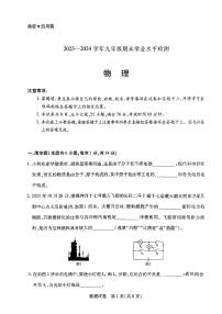 河南省新乡市2023-2024学年九年级期末物理试题（含答案）