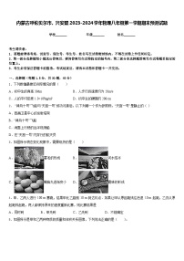 内蒙古呼伦贝尔市、兴安盟2023-2024学年物理八年级第一学期期末预测试题含答案