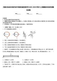 内蒙古自治区赤峰市翁牛特旗乌敦套海中学2023-2024学年八上物理期末质量检测模拟试题含答案