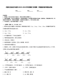 内蒙古自治区乌海市2023-2024学年物理八年级第一学期期末联考模拟试题含答案